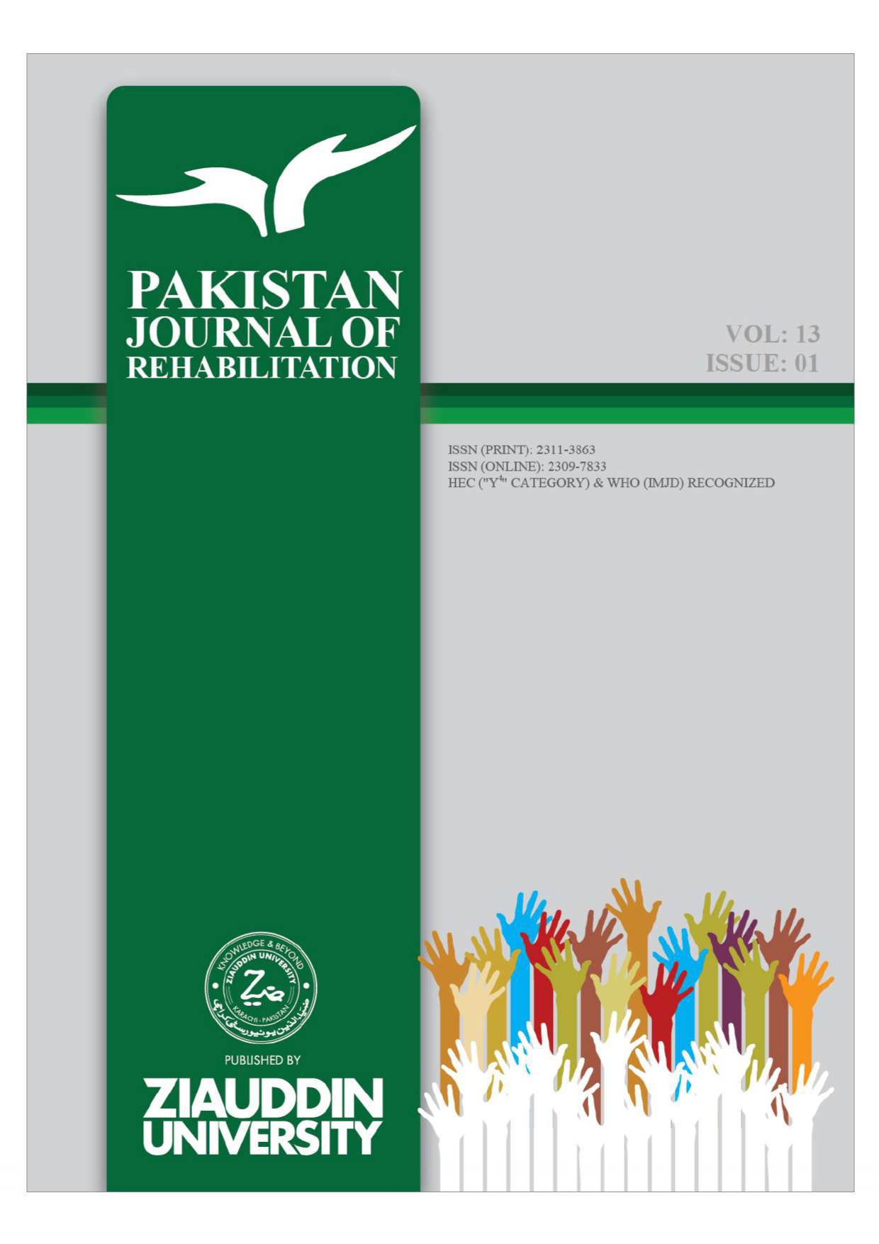 					View Vol. 13 No. 1 (2024): Pakistan Journal of Rehabilitation
				
